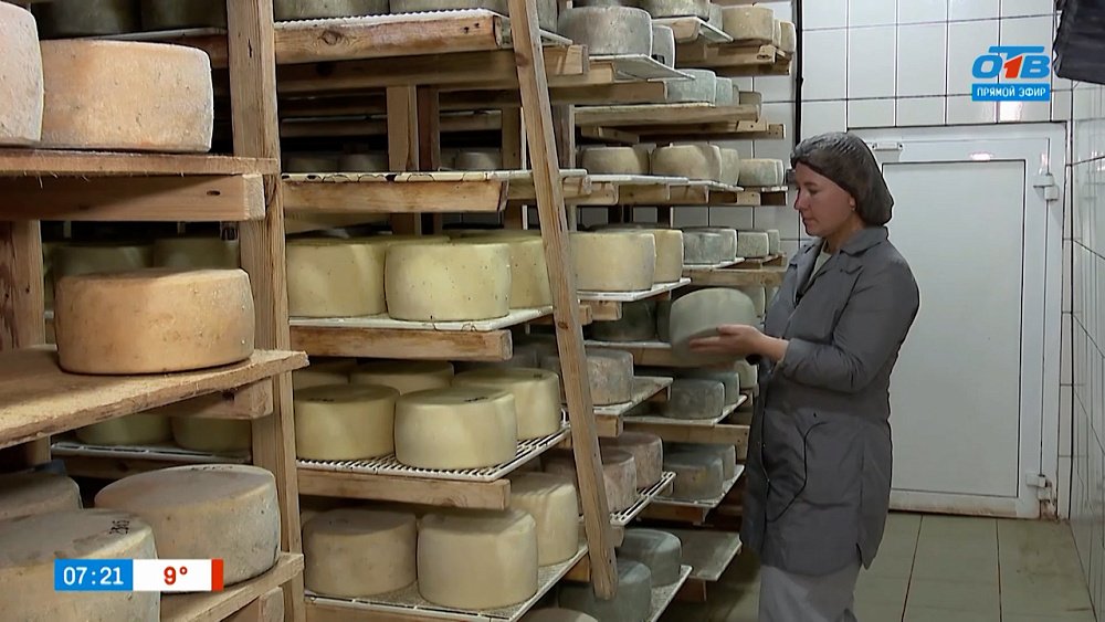 Архангельский сыр в рубрике «Мой бизнес: готовый продукт»