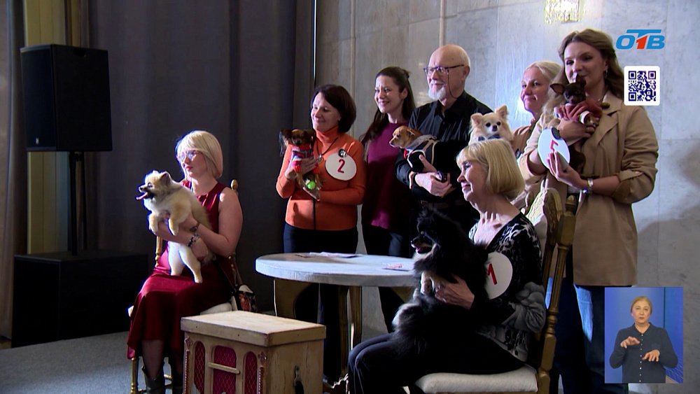 Челябинский театр драмы ищет собаку-актера для роли