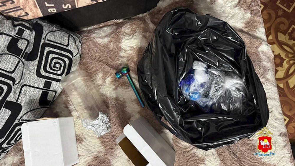 Челябинские полицейские пресекли деятельность ОПГ при задержании хулигана