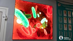 Депутат Госдумы высоко оценил уровень онкогематологической помощи в челябинской клинике