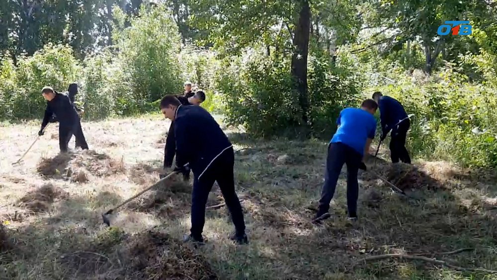 Челябинские полицейские подарили новую зону отдыха пожилым людям
