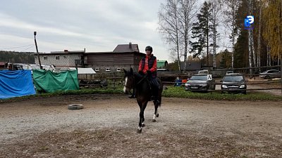 Сергей Моисеев из Миасса — чемпион Специальной Олимпиады по конному спорту