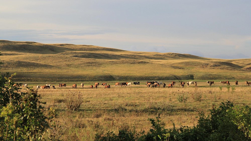 Жительница Челябинской области ведет блог и влюбляет туристов в Кизильский район