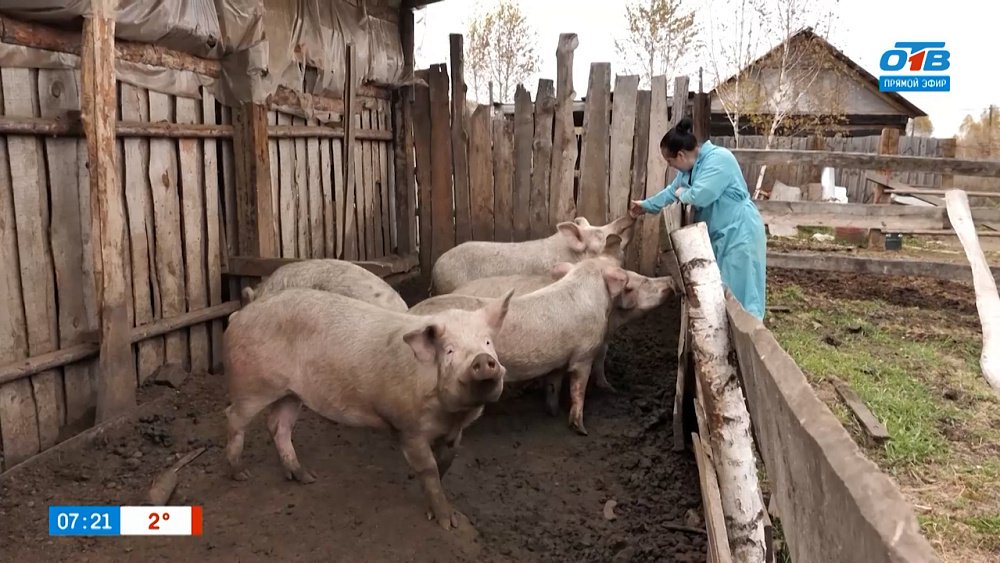 Ферма Кобяковых в рубрике «Мой бизнес: готовый продукт»