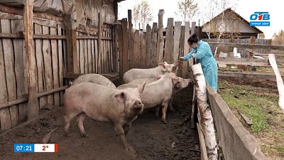 Ферма Кобяковых в рубрике «Мой бизнес: готовый продукт»