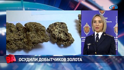 В Челябинской области осудили добытчиков золота