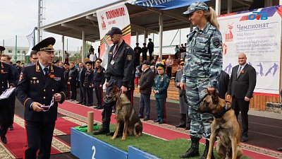 Челябинская ищейка победила в поиске взрывчатки
