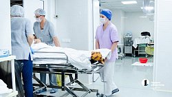 «Темнота закрылась шторкой»: история тех, кто дарит второй шанс