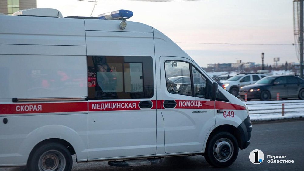 В Челябинске возбуждено уголовное дело после нападения двух алабаев на школьниц