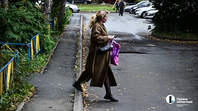 Осенью челябинцы скупают растения и ретро-гаджеты