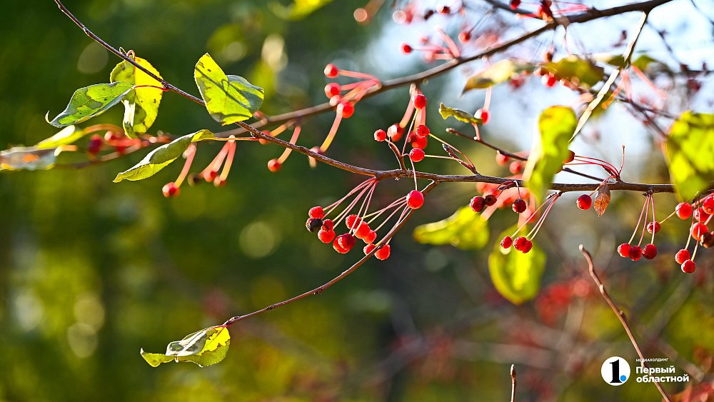 Тепло и сухо будет в Челябинской области на предпоследней неделе октября