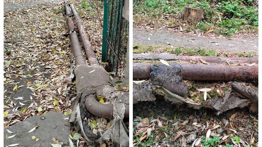 В Челябинске возбудили уголовные дела против двух «управляек»