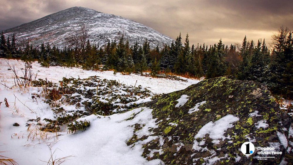 Туристку из Челябинска ищут с помощью собак, беспилотников и квадроциклов