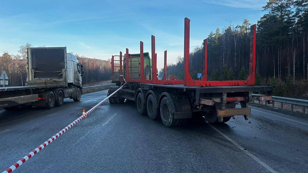 В ДТП с лесовозом на трассе под Саткой погибли бабушка и внучка