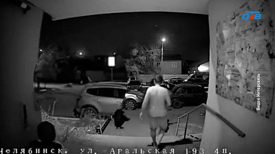 На девочек напали псы в Челябинске