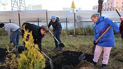 В Ботаническом саду ЧелГУ высадили первую в России «киберрощу»