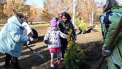 В Ботаническом саду ЧелГУ высадили первую в России «киберрощу»