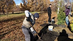 В Ботаническом саду ЧелГУ высадили первую в России «киберрощу»