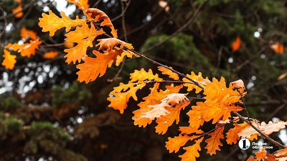 В Челябинской области потеплеет до сентябрьских +16 градусов 27 октября