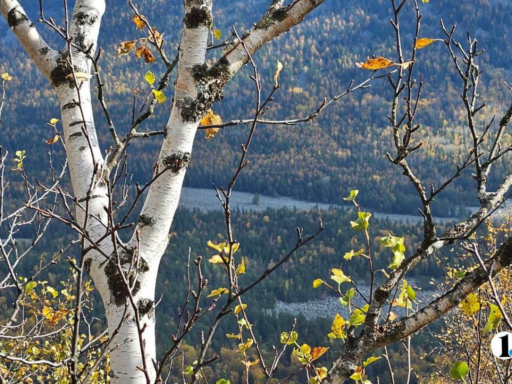 Свыше 35 тысяч туристов побывали на Таганае в сентябре