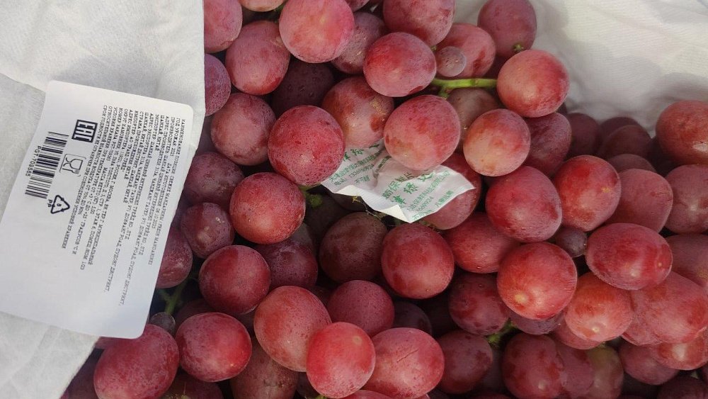 Россельхознадзор не пустил на Южный Урал 43 тонны фруктов из Казахстана