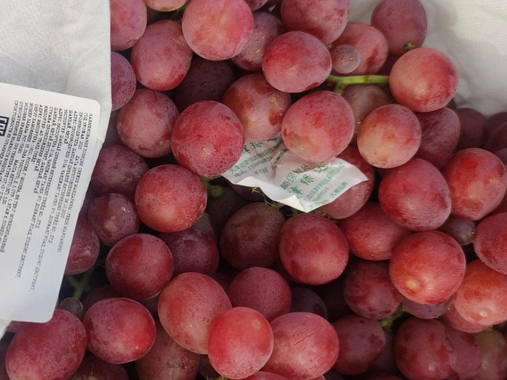 Россельхознадзор не пустил на Южный Урал 43 тонны фруктов из Казахстана