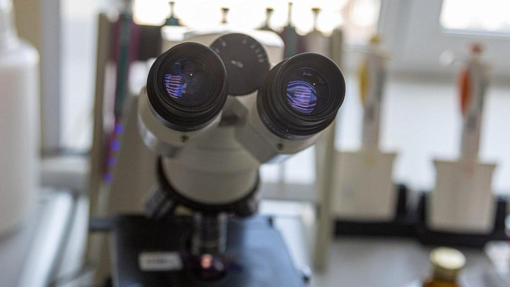 Ученые ЮУрГУ ищут лекарство от рака груди в китайских травах