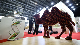 Фермеры Челябинской области презентуют свои достижения на агровыставке в Екатеринбурге