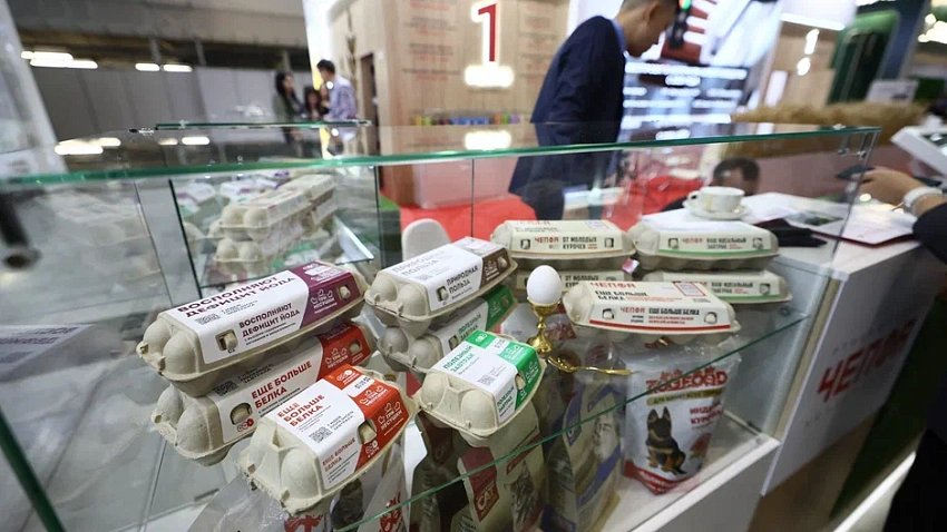 Фермеры Челябинской области презентуют свои достижения на агровыставке в Екатеринбурге