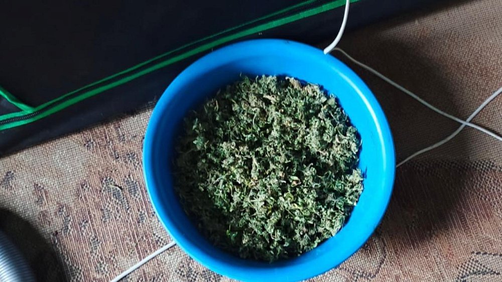 Более 1 кг марихуаны изъяли полицейские у жителя Кусы
