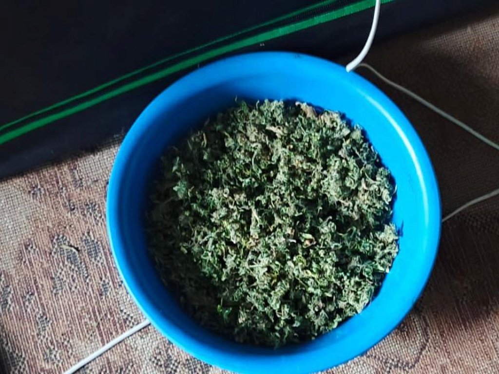 Более 1 кг марихуаны изъяли полицейские у жителя Кусы