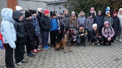 Миасские школьники узнали больше о службе полицейских собак