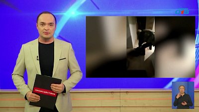 Задержали браконьеров в Челябинской области