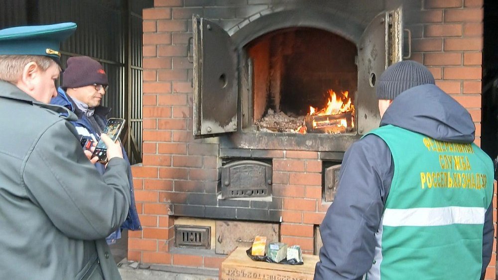 Две партии запретного сыра уничтожили в Челябинской области