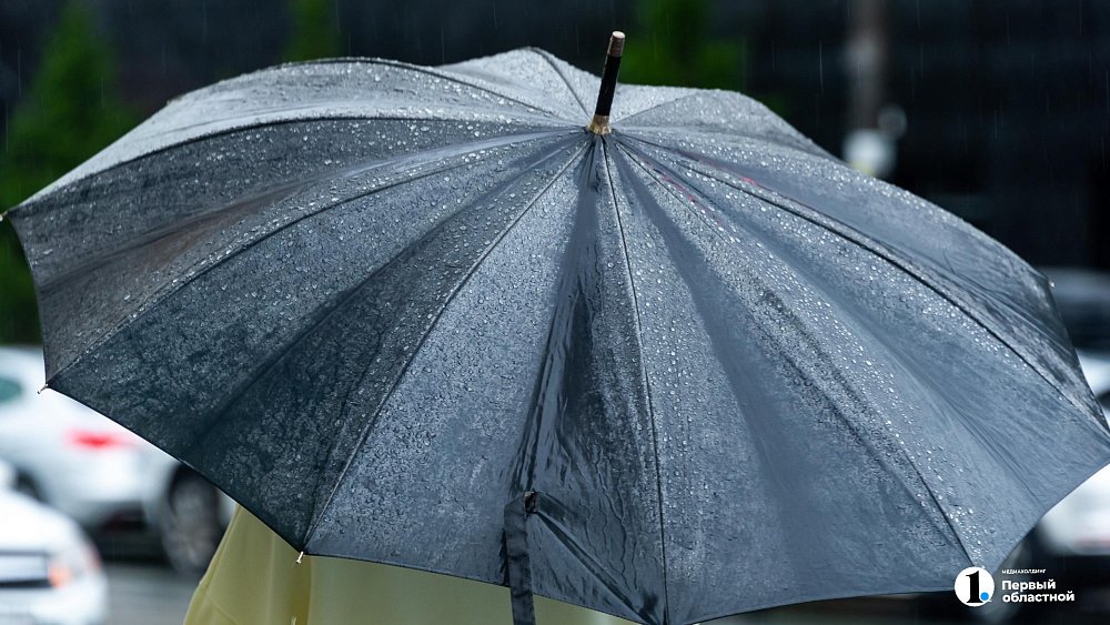 В Челябинской области будет дождливо в последний день октября