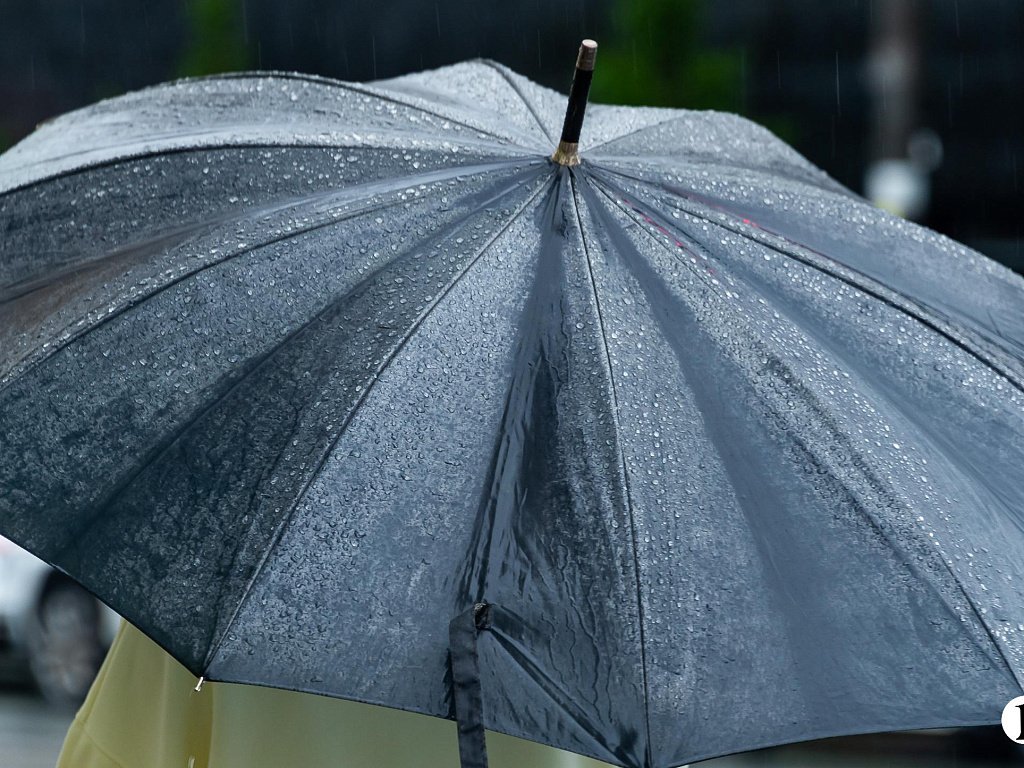 В Челябинской области будет дождливо в последний день октября