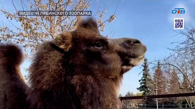 Продолжается голосование за «Культурную столицу 2027»