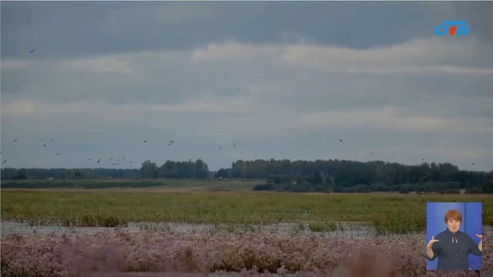 На Южном Урале охотники сменят огнестрелы на фоторужья