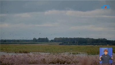 На Южном Урале охотники сменят огнестрелы на фоторужья