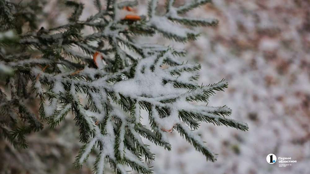 Ноябрь-2025 в Челябинской области начнется с мокрого снега и гололедицы