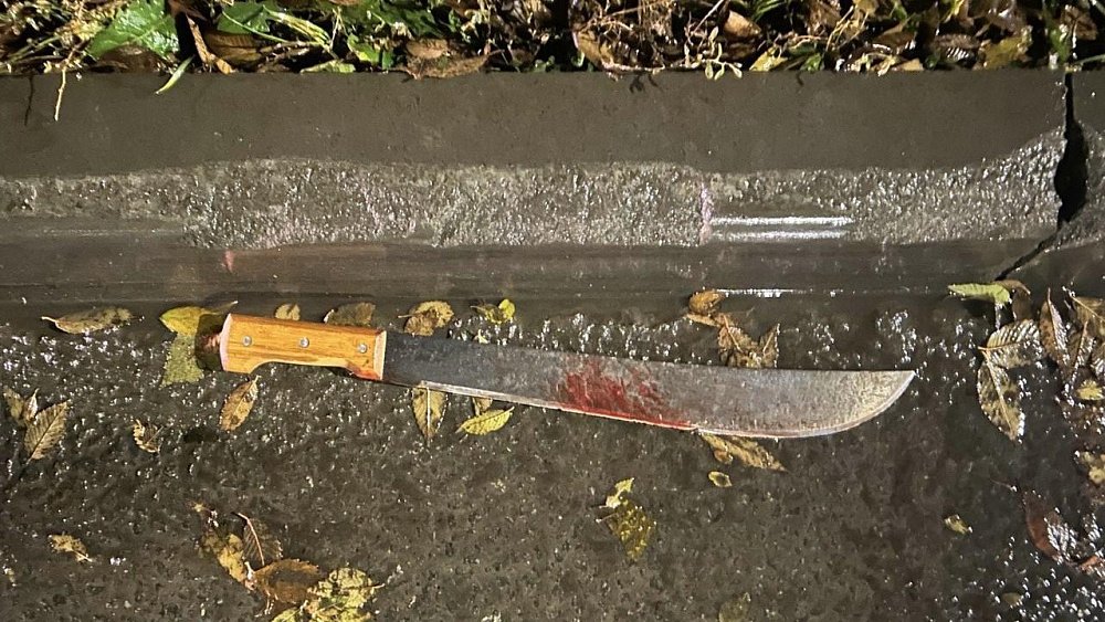 Житель ЧМЗ напал на бывшую с мачете