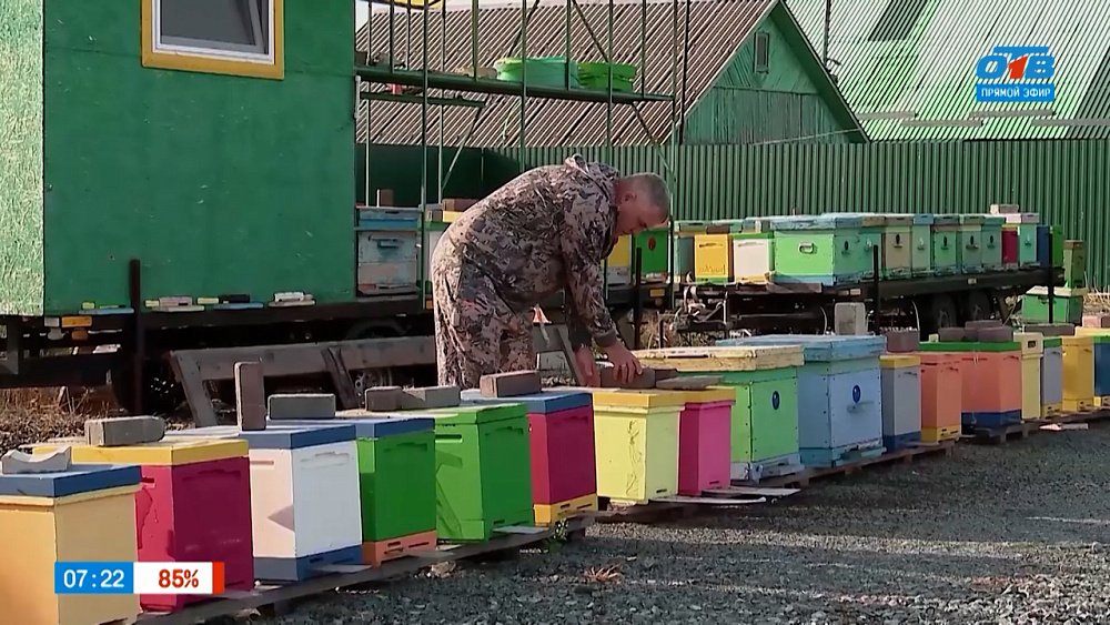 Мед от семьи Корскановых в рубрике «Мой бизнес. Готовый продукт»