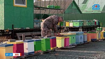 Мед от семьи Корскановых в рубрике «Мой бизнес. Готовый продукт»