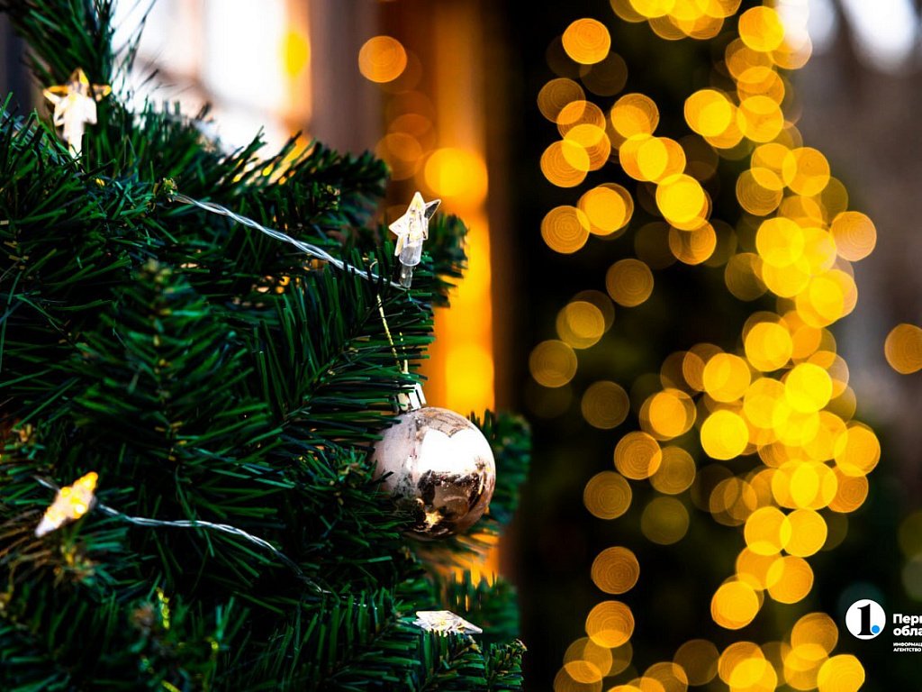 Жители Челябинской области рассказали, где собираются встретить Новый год