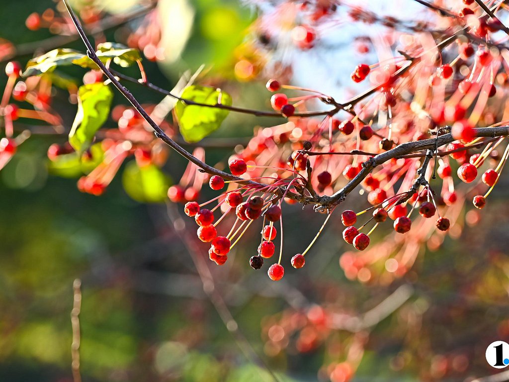 Солнечным и холодным выдастся день 4 ноября в Челябинской области