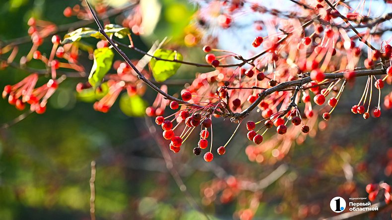 Солнечным и холодным выдастся день 4 ноября в Челябинской области