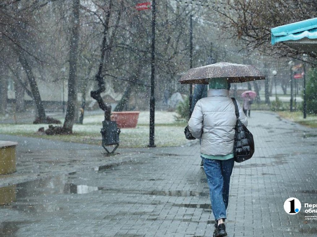 Снегопады и метели обрушатся на Челябинскую область 5 ноября
