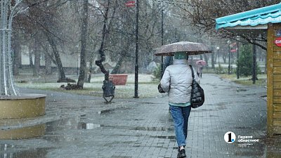 Снегопады и метели обрушатся на Челябинскую область 5 ноября