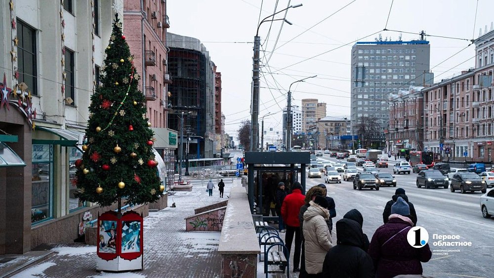 В Челябинске в начале ноября устанавливают новогодние елки