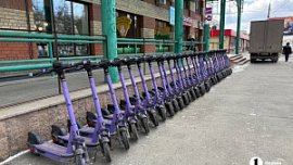 В Челябинске число поездок на сиреневых электросамокатах выросло в 2,3 раза